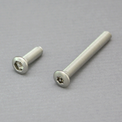 Oval Head (Hexagon Recessed Temper-Proof) Tapping Screw
